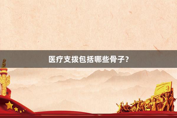 医疗支拨包括哪些骨子？