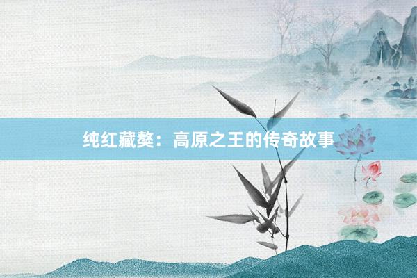 纯红藏獒：高原之王的传奇故事